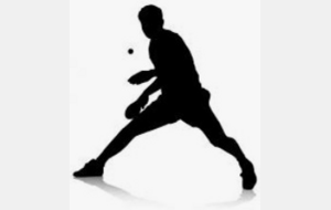 Atelier de perfectionnement pongiste