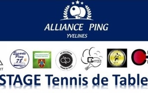 Stage ALLIANCE PING Automne 2024