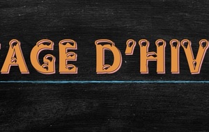 Stage pongiste d'hiver