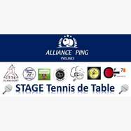 Stage ALLIANCE PING Automne 2024